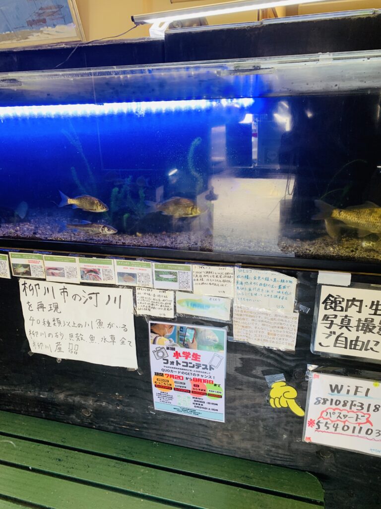 大きな水槽の写真