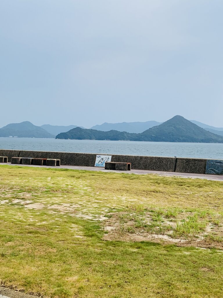 海が広がっている写真