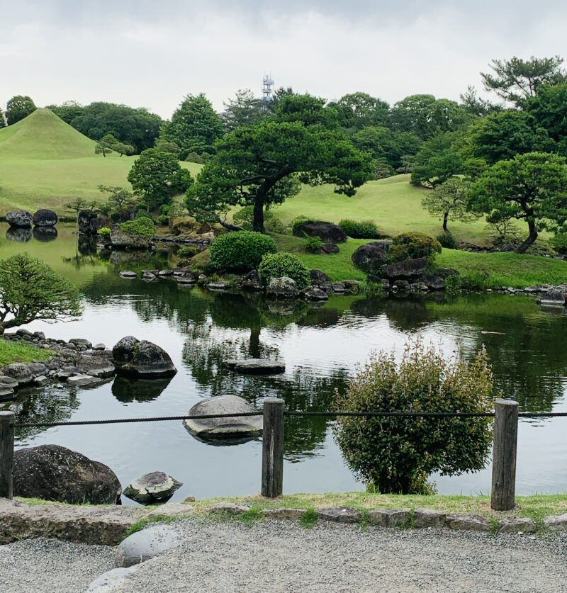 庭の風景の写真